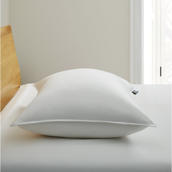 Serta 233 Thread Medium Down Bed Pillow & Reviews Wayfair